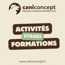 ACTIVITÉS & STAGES/FORMATIONS