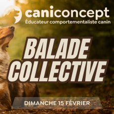 BALADE COLLECTIVE | 15-02-2026 | 15H à 17H