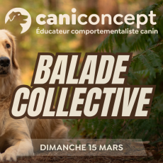 BALADE COLLECTIVE | TEMPS PERDU | 15-03-2026 | 15H à 17H