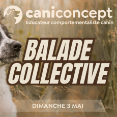 BALADE COLLECTIVE | TEMPS PERDU | 03-05-2026 | 15H à 17H