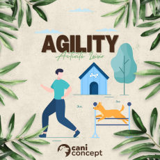 AGILITY | 7-02-2026 | 14H>15H30 ET/OU 16h>17H30
