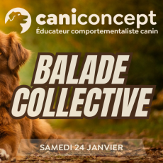 BALADE COLLECTIVE | 24-01-2026 | 15H > 17H