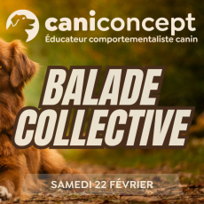 BALADE COLLECTIVE | STADE DELALANDE | 22-02-2026 | 15H à 17H