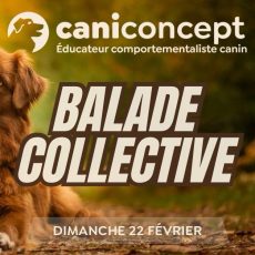 BALADE COLLECTIVE | STADE DELALANDE | 22-02-2026 | 15H à 17H