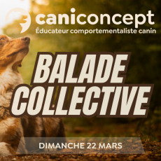 BALADE COLLECTIVE | STADE DELALANDE | 22-03-2026 | 15H à 17H