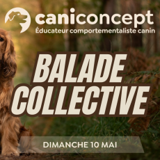 BALADE COLLECTIVE | GRAND CANTON | 10-05-2026 | 15h à 17h
