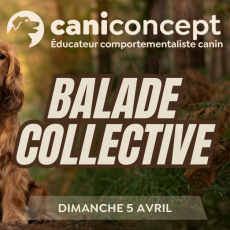 BALADE COLLECTIVE | GRAND CANTON | 05-04-2026 | 15H à 17H