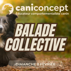 BALADE COLLECTIVE | GRAND CANTON | 08-02-2026 | 15H à 17H