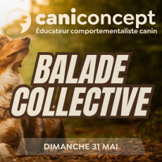 BALADE COLLECTIVE | GRAND CANTON | 31-05-2026 | 10h à 12h