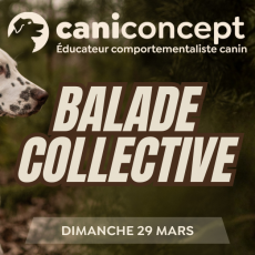 BALADE COLLECTIVE | LES DAMPS | 29-03-2026 | 15H à 17H