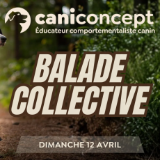 BALADE COLLECTIVE | CHÊNE A LEU | 12-04-2026 | 15H à 17H