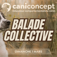 BALADE COLLECTIVE | CHÊNE A LEU | 01-03-2026 | 15H à 17H
