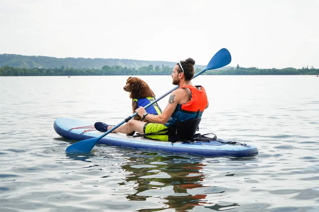 Personne pagayant en paddle avec son chien à bord sur un plan d'eau en Normandie