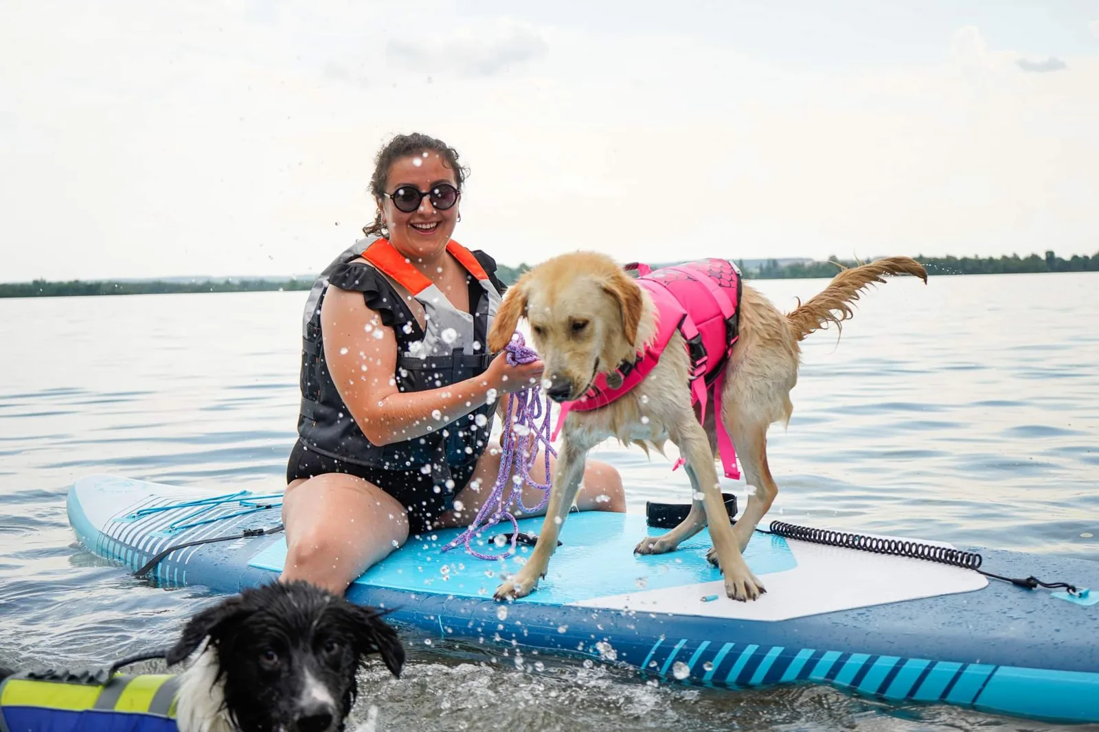 Cani-paddle