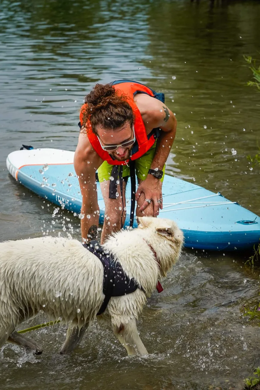 Éducateur canin jouant avec un chien dans l'eau pendant une initiation au cani-paddle près de Rouen