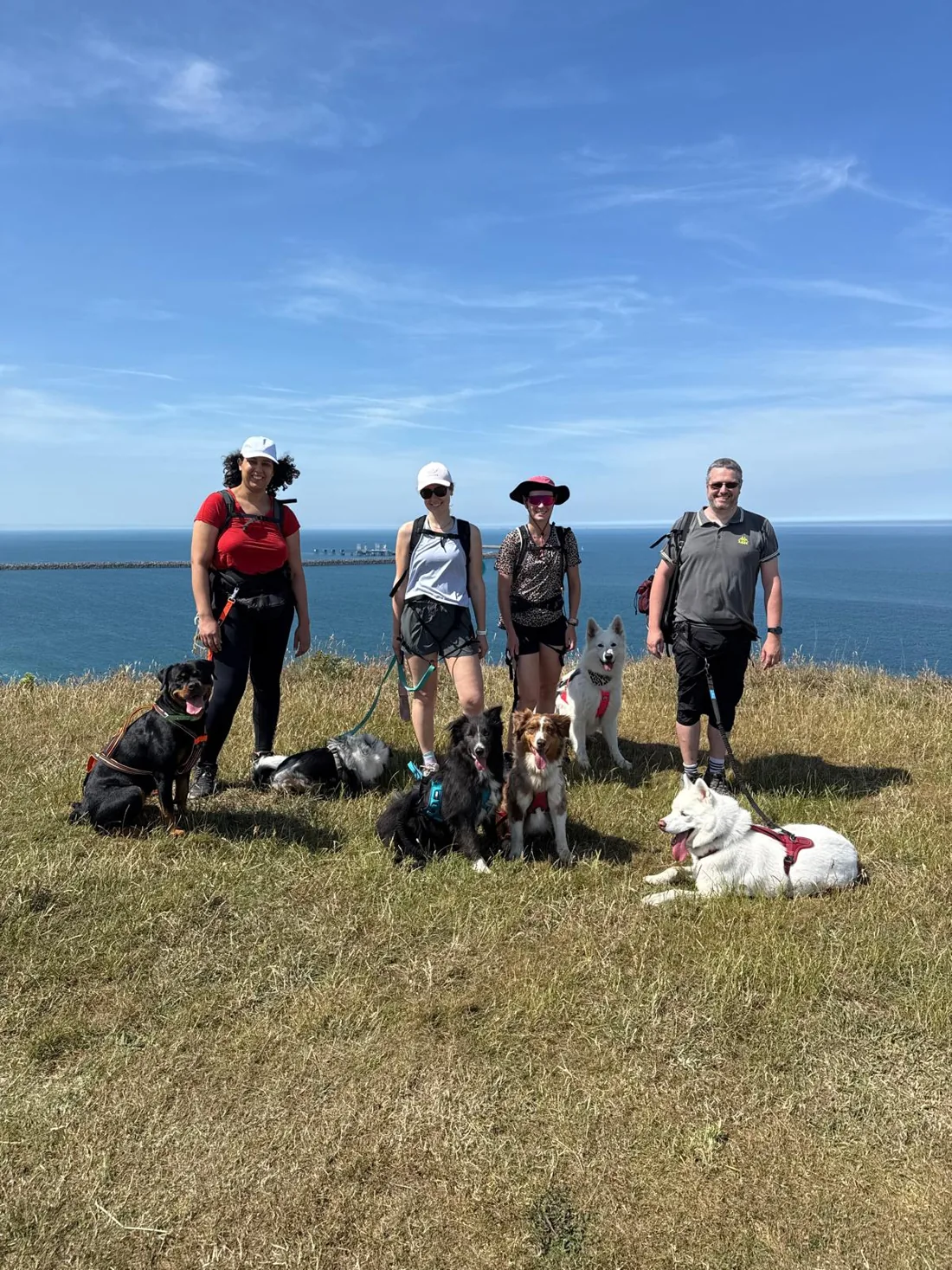 Duo maître et chien en cani-rando sur les chemins de Normandie