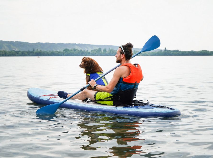 Cani-kayak avec son chien en Normandie