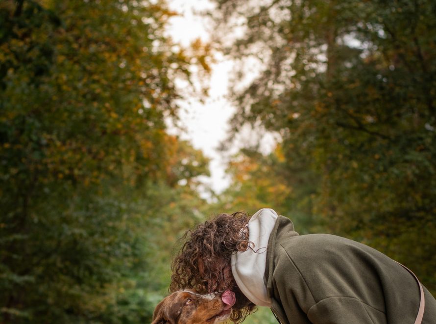 Chien attentif donnant la patte lors d'un exercice