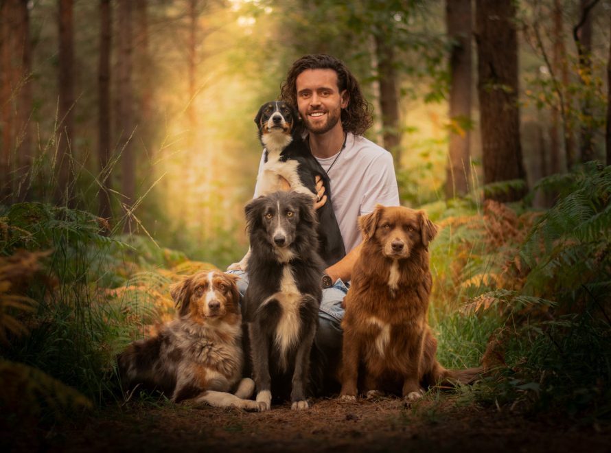 cc-article-conditionnement-chien